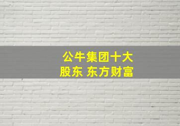 公牛集团十大股东 东方财富